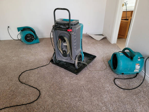 Best Mold removal after water damage  in Tullahoma, TN