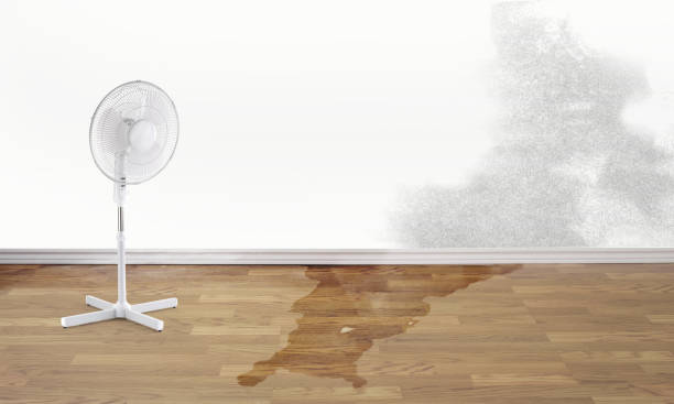 Best Residential water damage restoration  in Tullahoma, TN