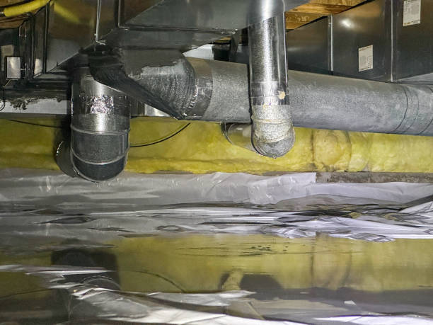 Best Carpet water damage restoration  in Tullahoma, TN